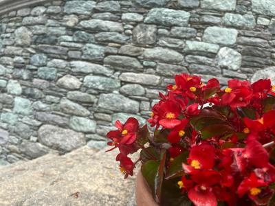 Murature in pietra